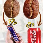 Arabica coffee vs Robusta coffee