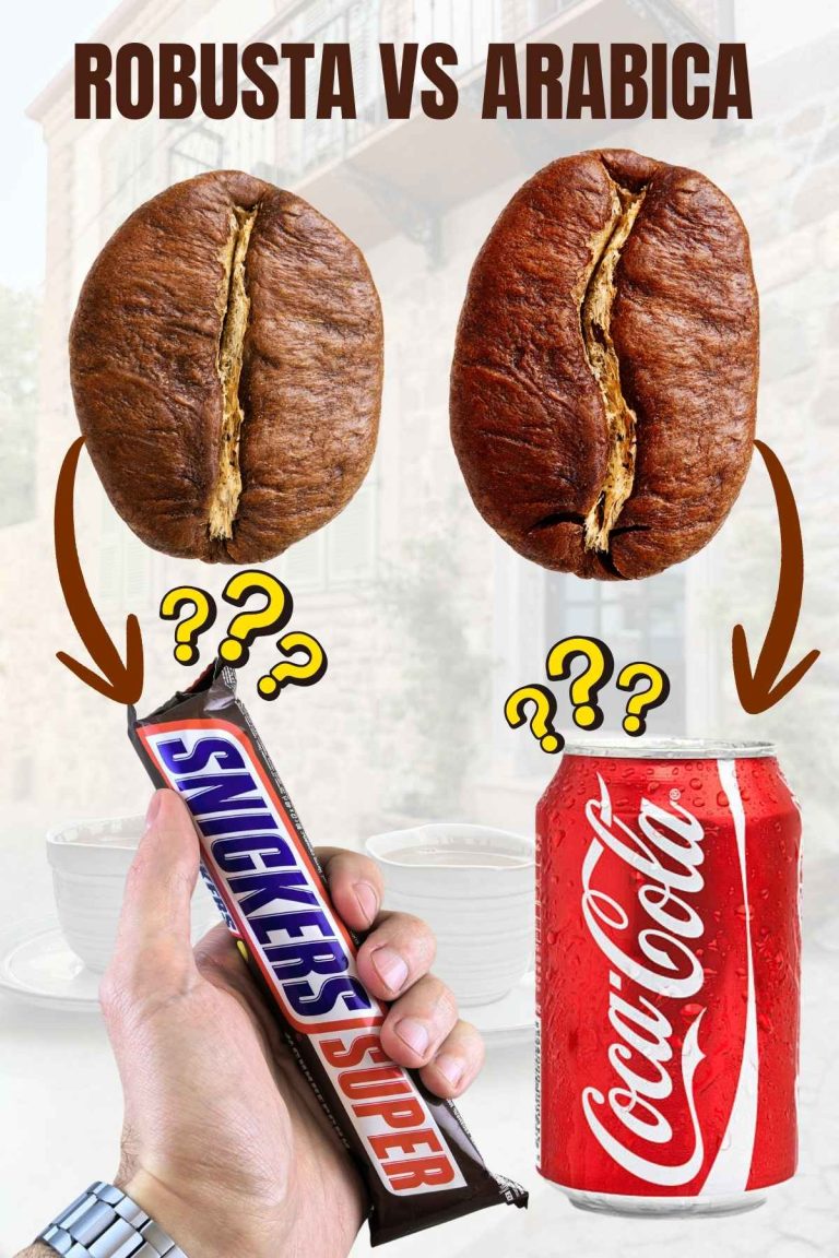 Arabica coffee vs Robusta coffee
